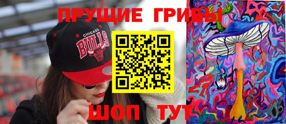 Галлюциногенные грибы GOLDEN TEACHER  купить закладку  Вход с VPN  Малгобек  Галлюциногенные грибы MAGIC MUSHROOMS 