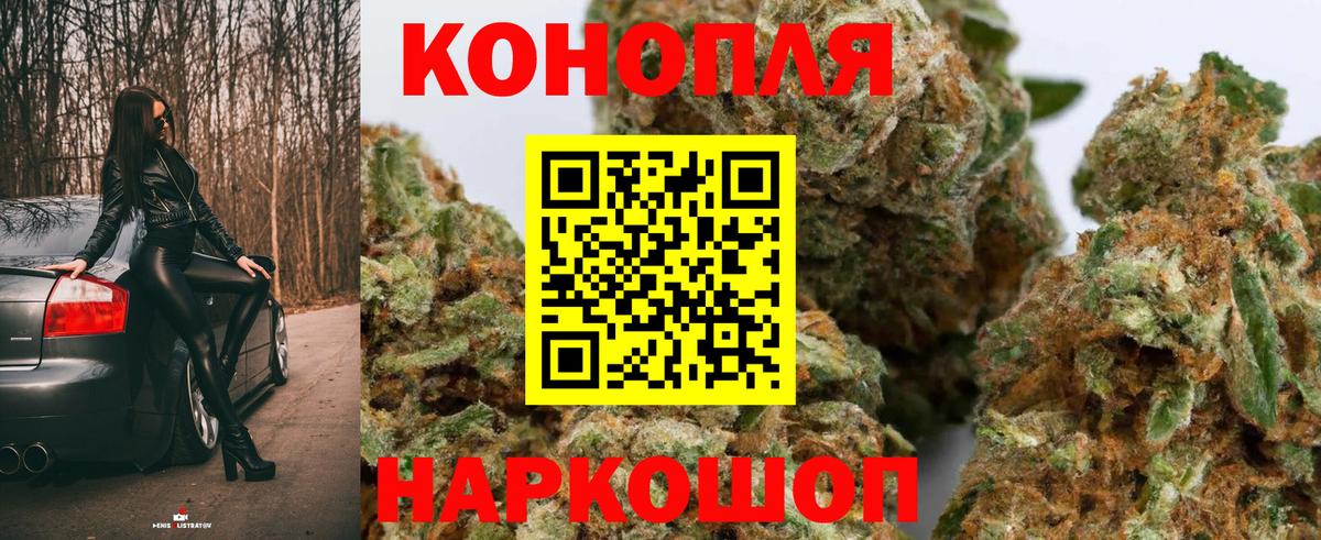 Конопля семена Малгобек
